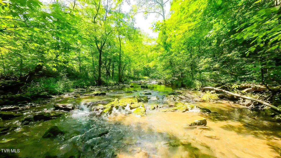 Photo #12: Tbd Eb Hollow Road