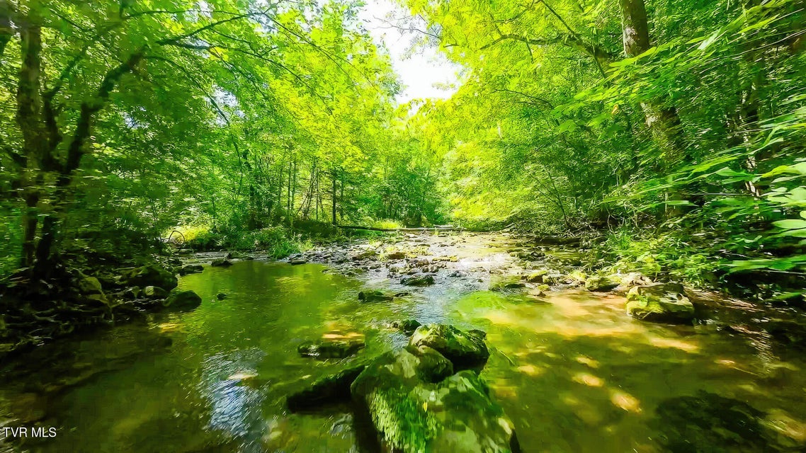 Photo #14: Tbd Eb Hollow Road