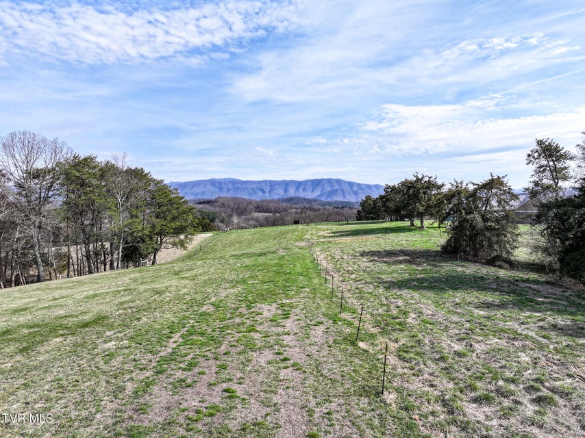 Photo #61: 2905 Sunnyside Road