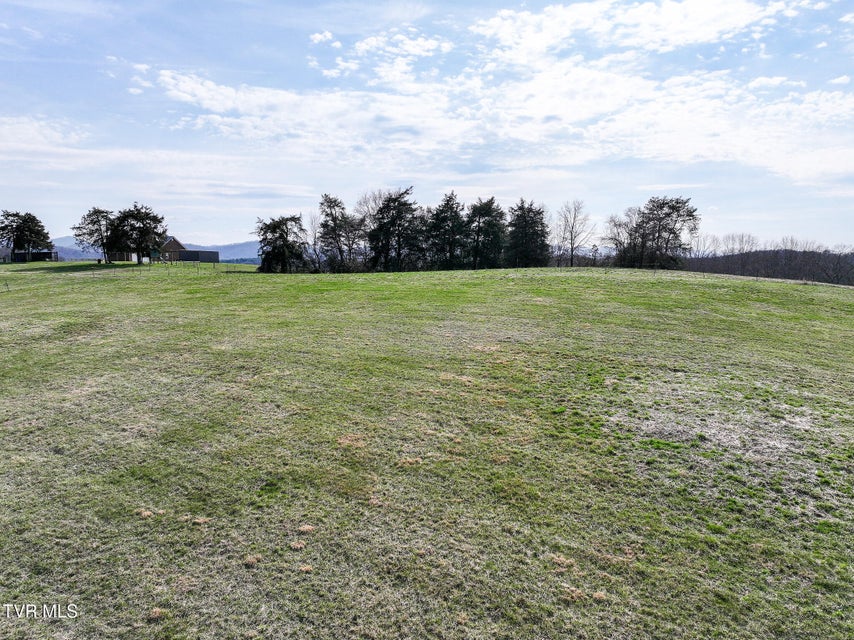 Photo #64: 2905 Sunnyside Road