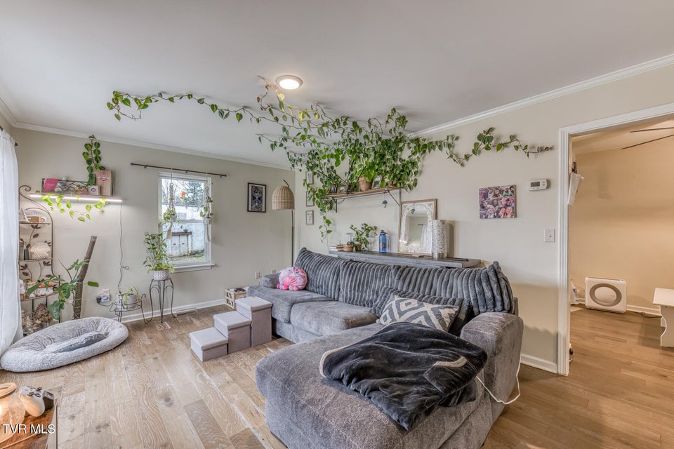 Photo #4: 380 Bristol Caverns Highway