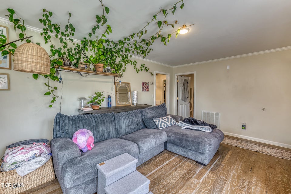 Photo #6: 380 Bristol Caverns Highway