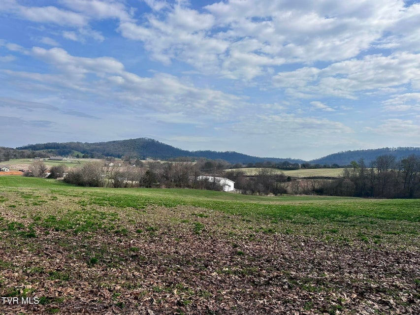 Photo #5: Lot 0 Mine Road