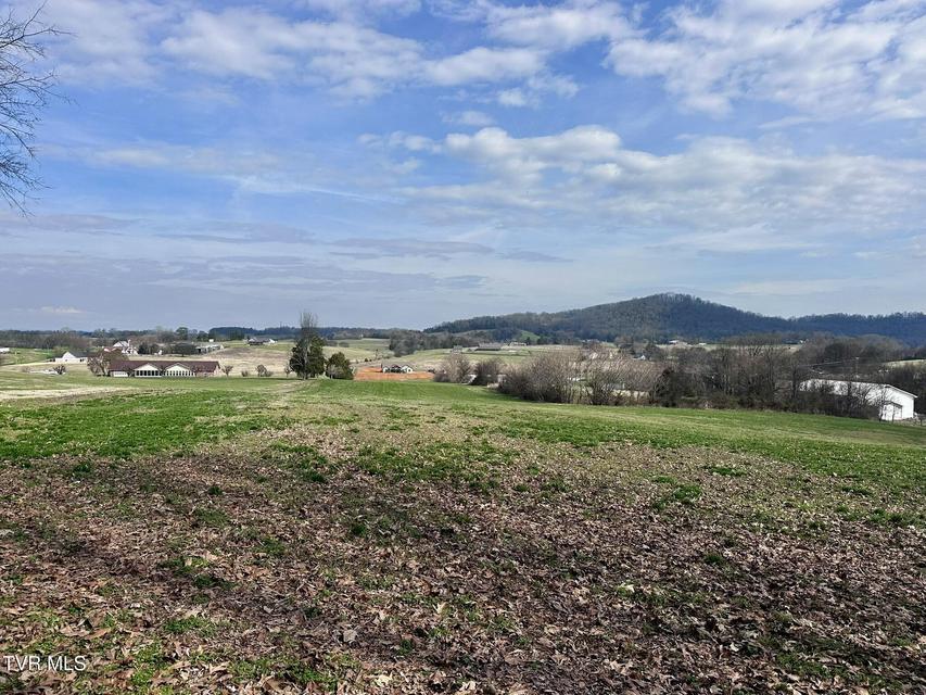 Photo #7: Lot 0 Mine Road