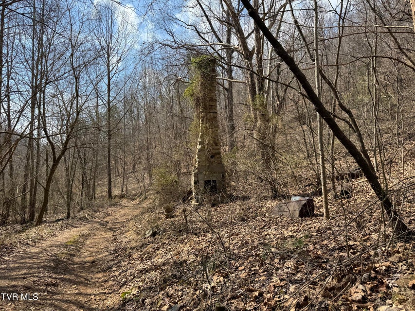 Photo #11: 6996 Manville Road