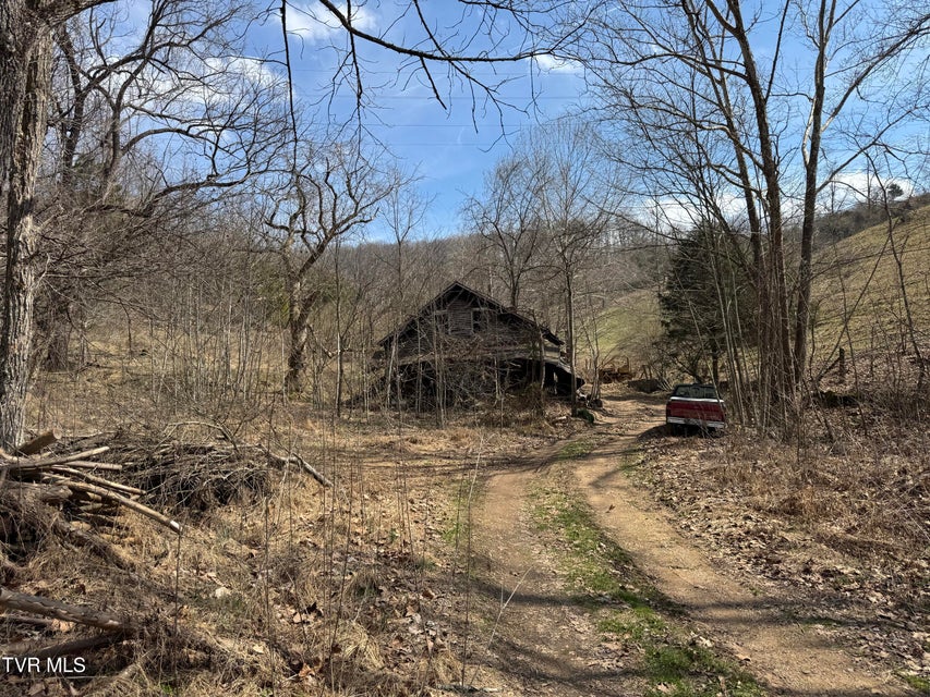 Photo #12: 6996 Manville Road