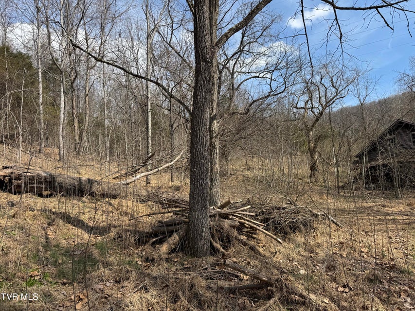 Photo #13: 6996 Manville Road