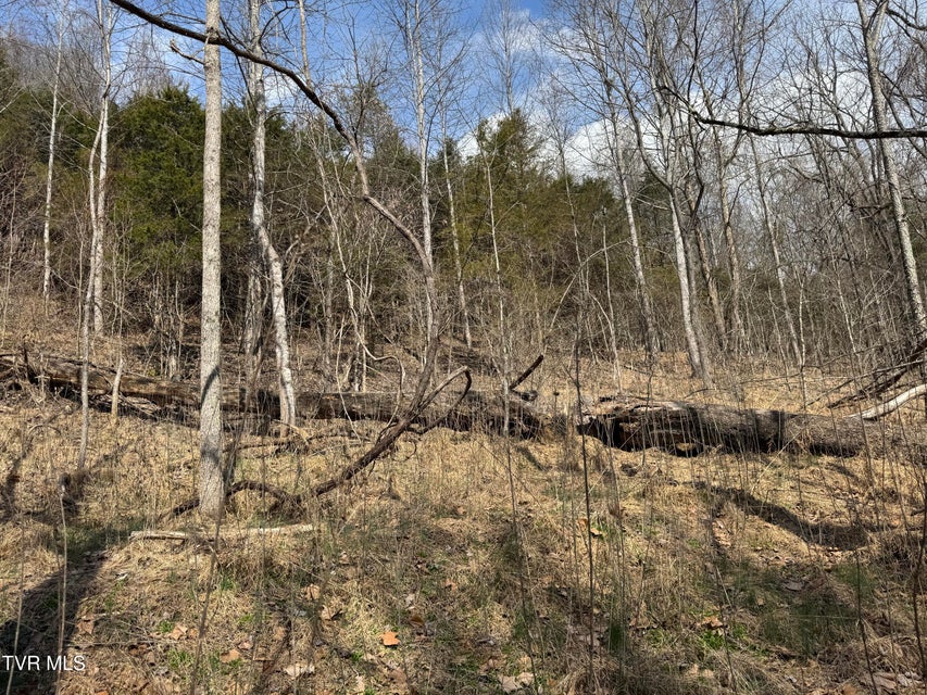 Photo #14: 6996 Manville Road