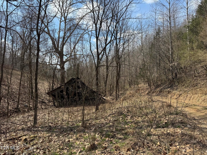 Photo #15: 6996 Manville Road