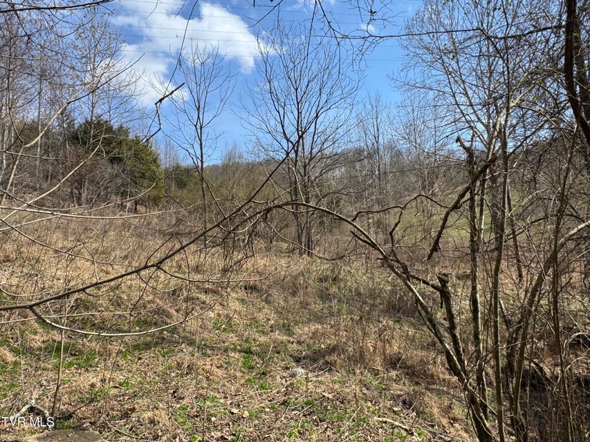 Photo #19: 6996 Manville Road