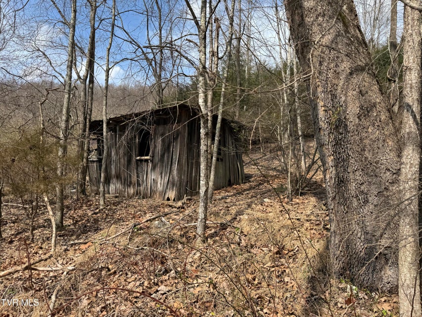 Photo #22: 6996 Manville Road