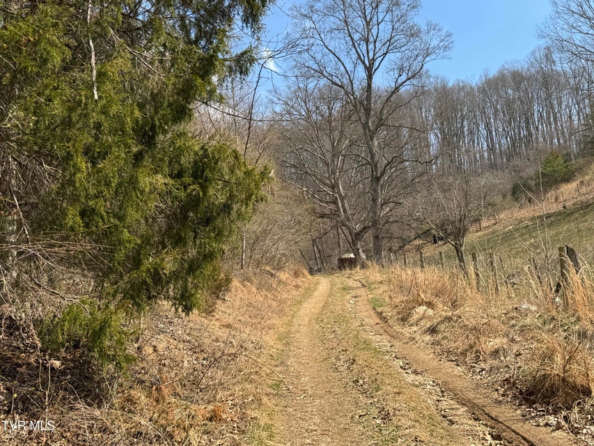 Photo #5: 6996 Manville Road