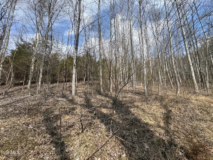 Photo #3: 6996 Manville Road