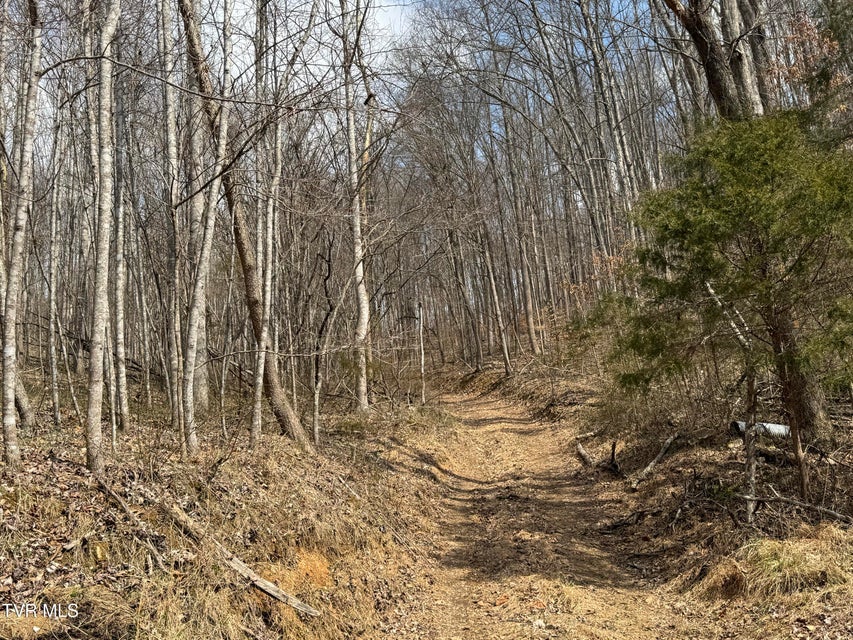 Photo #4: 6996 Manville Road