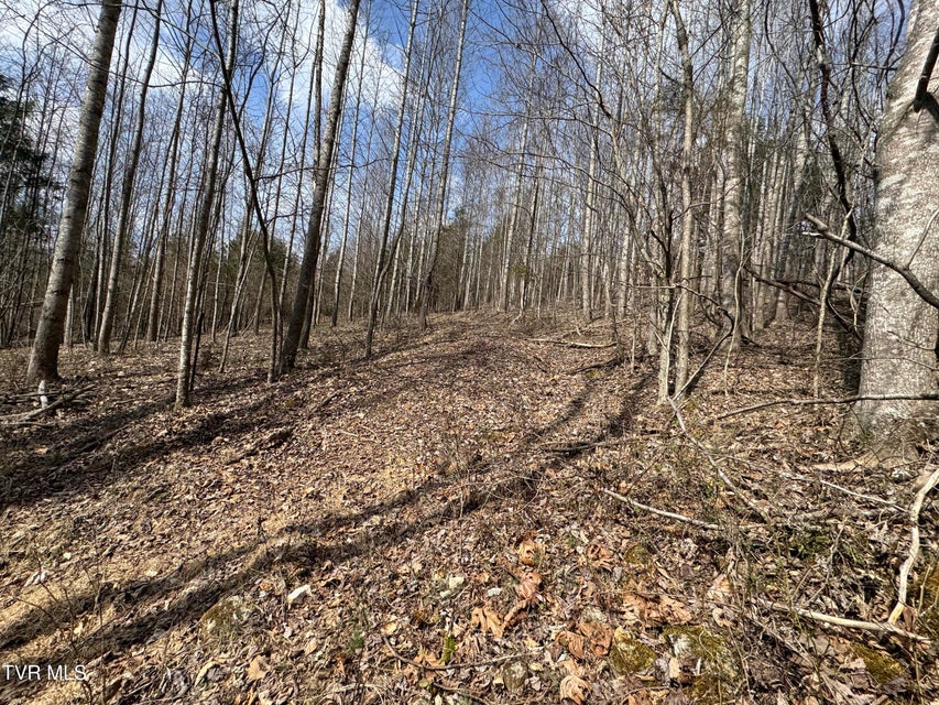 Photo #6: 6996 Manville Road