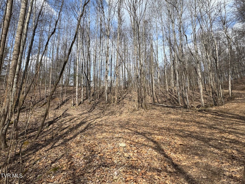 Photo #8: 6996 Manville Road