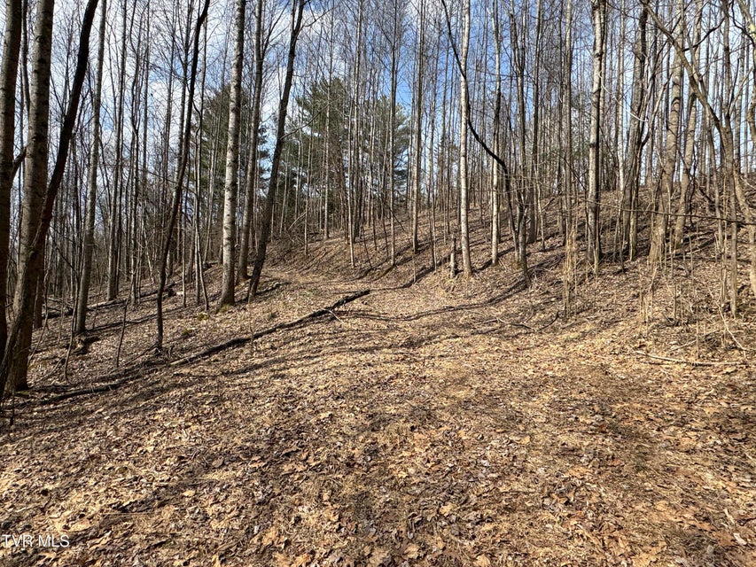 Photo #9: 6996 Manville Road