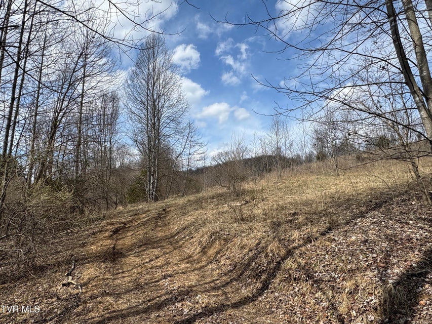 Photo #10: 6996 Manville Road