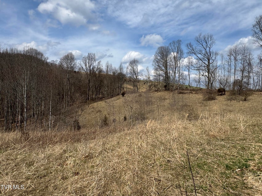 Photo #24: 6996 Manville Road