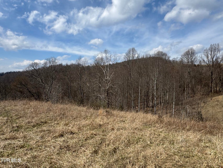 Photo #25: 6996 Manville Road