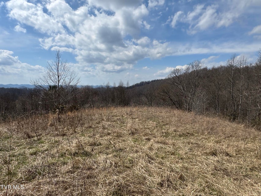 Photo #26: 6996 Manville Road