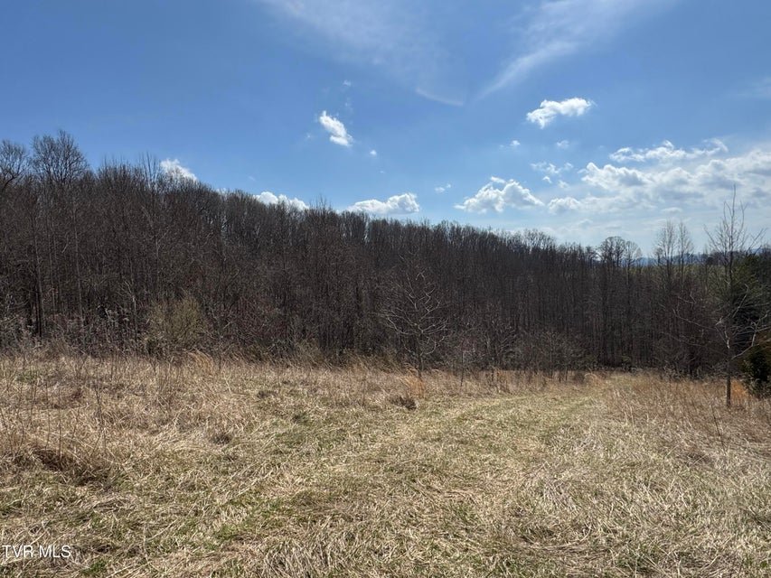 Photo #28: 6996 Manville Road