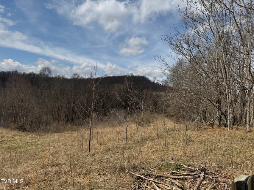 Photo #30: 6996 Manville Road