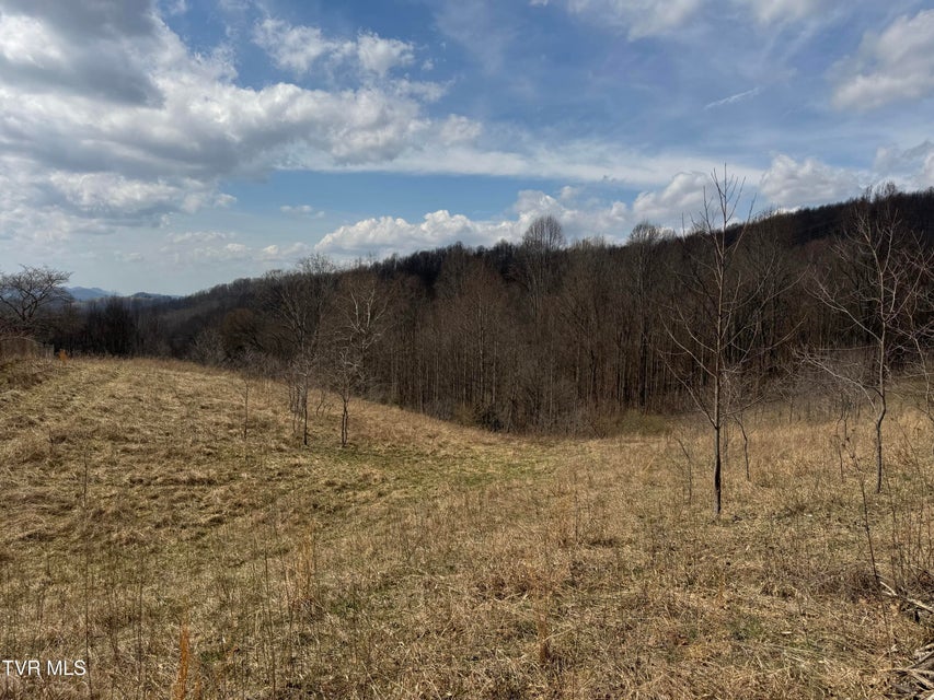 Photo #31: 6996 Manville Road