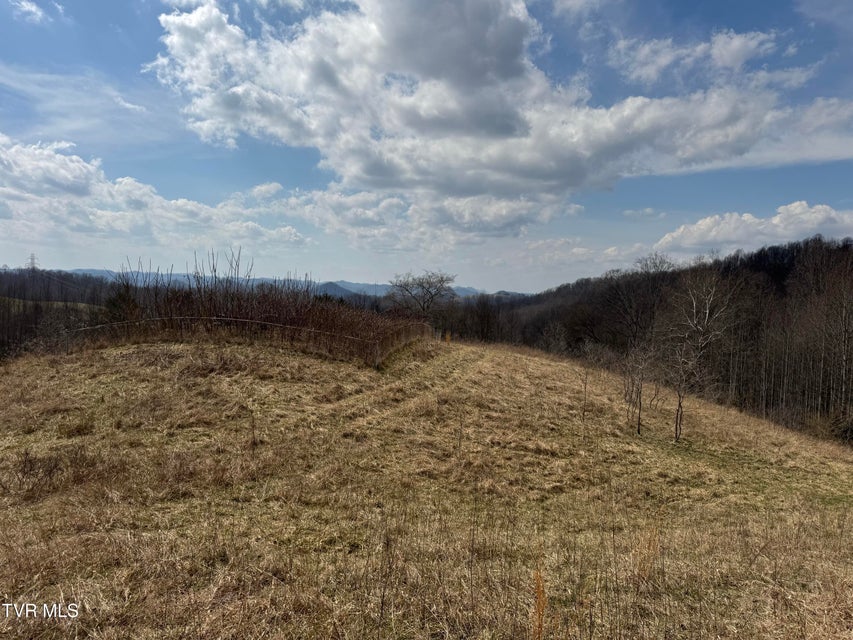 Photo #32: 6996 Manville Road