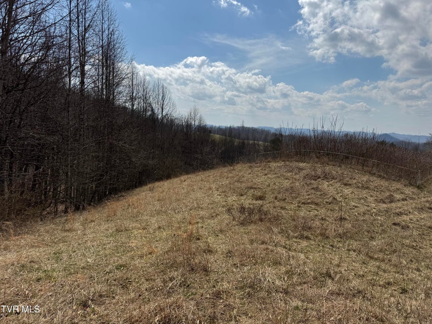 Photo #33: 6996 Manville Road