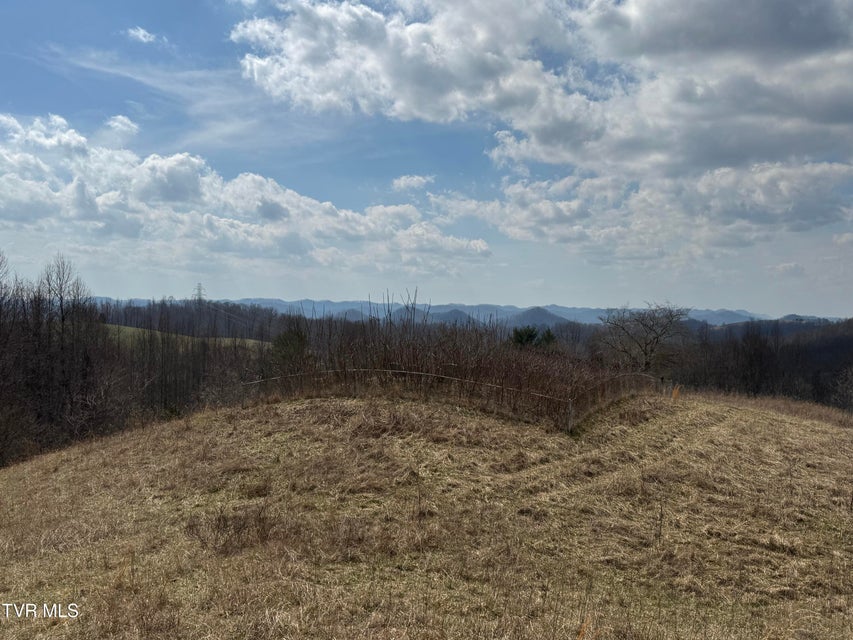 Photo #35: 6996 Manville Road