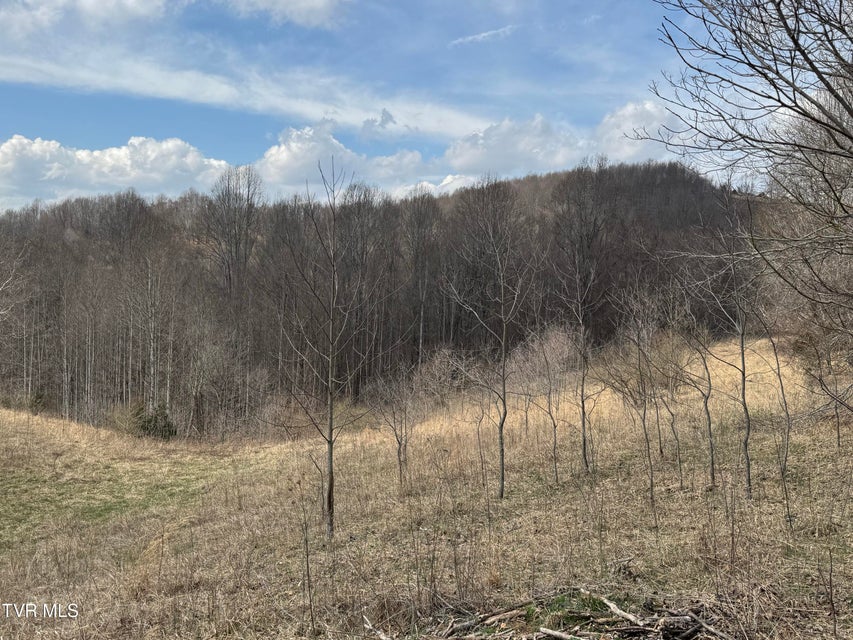 Photo #37: 6996 Manville Road