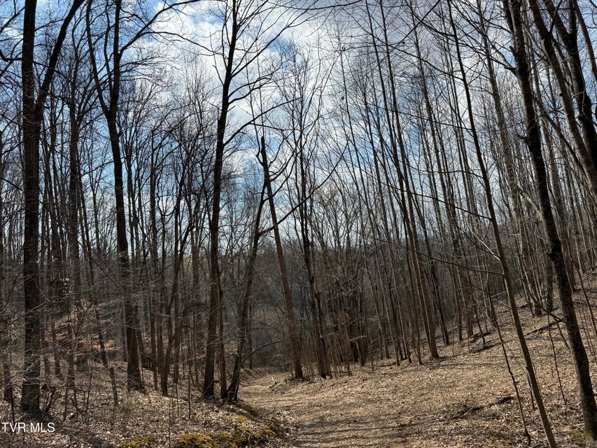 Photo #45: 6996 Manville Road