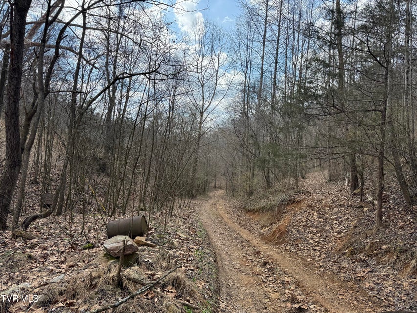 Photo #2: 6996 Manville Road