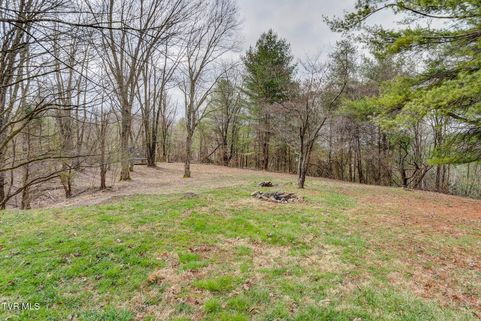 Photo #11: 135 Earl Williams Road