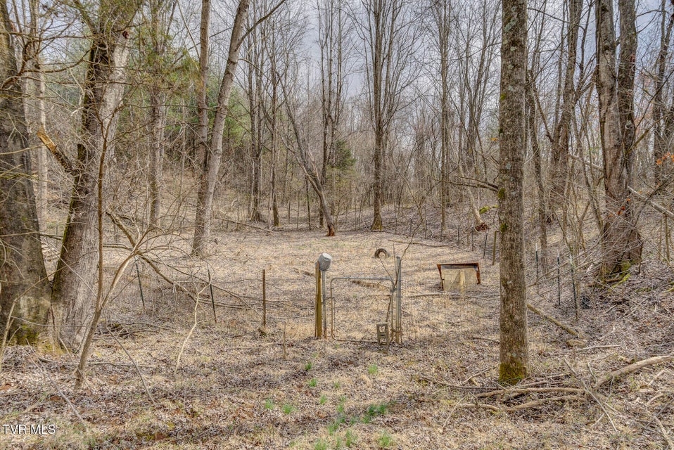 Photo #13: 135 Earl Williams Road