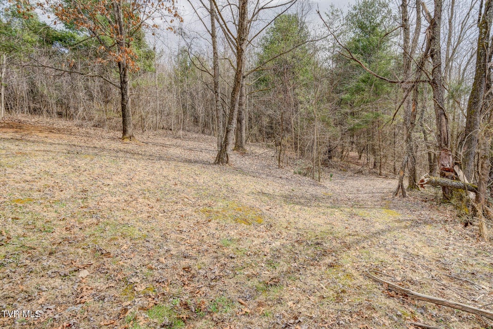 Photo #15: 135 Earl Williams Road