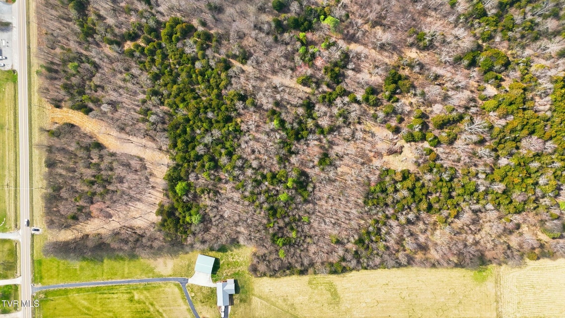 Photo #3: Tbd Erwin Highway