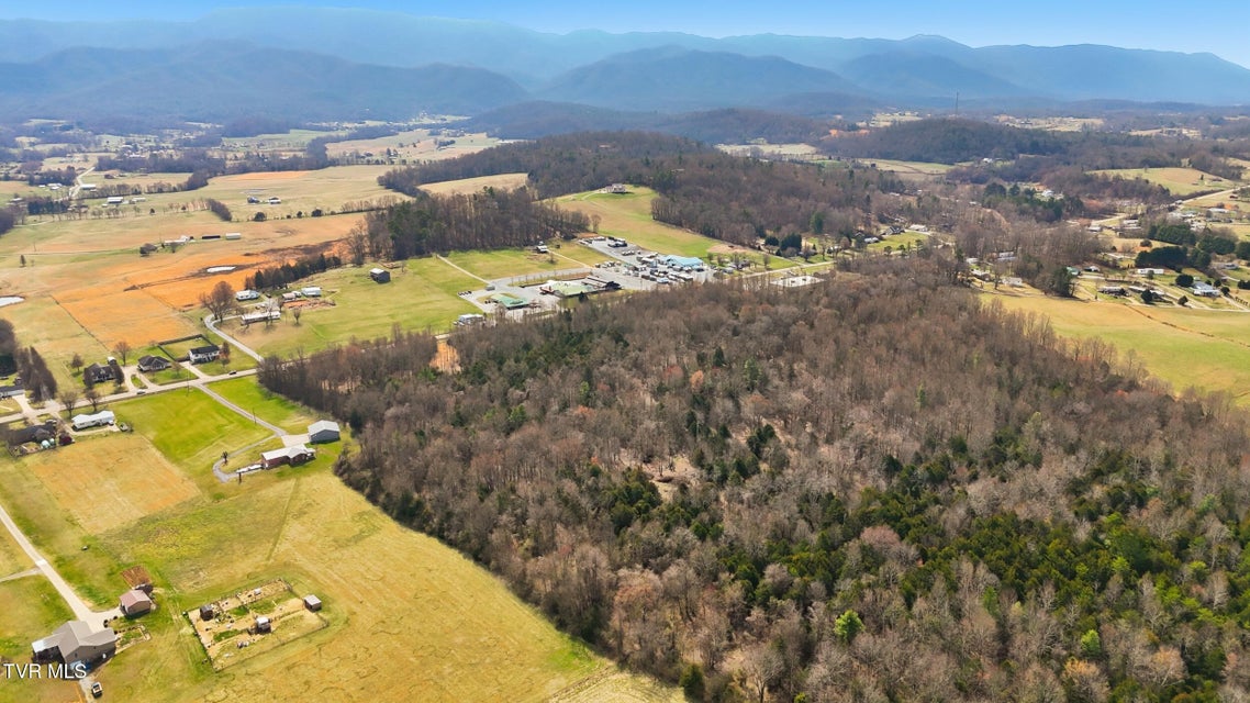 Photo #10: Tbd Erwin Highway