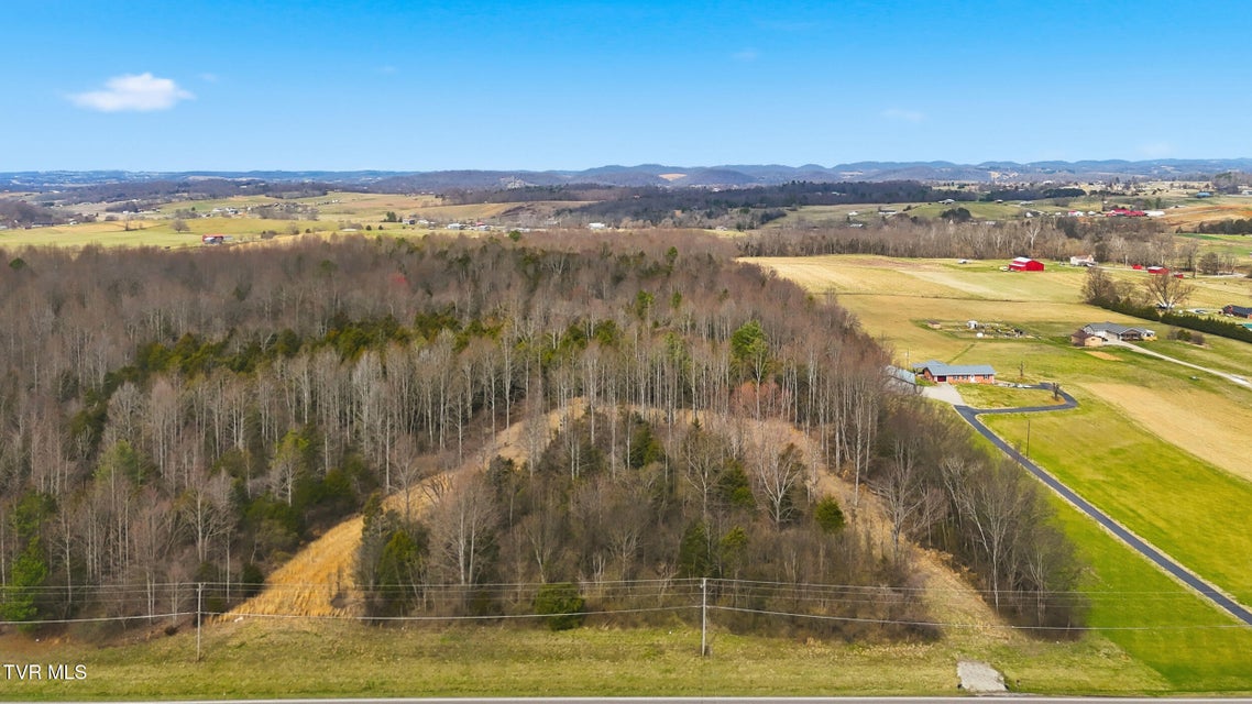 Photo #11: Tbd Erwin Highway