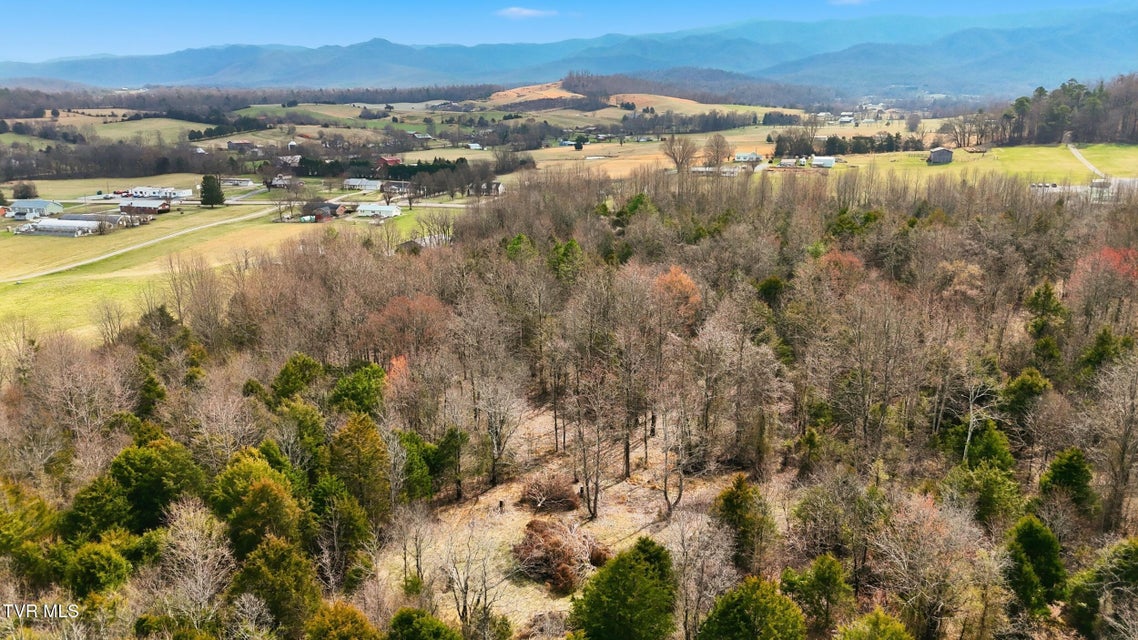 Photo #15: Tbd Erwin Highway