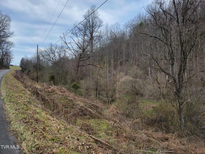 Photo #4: Tbd Jaggy Fox Trail