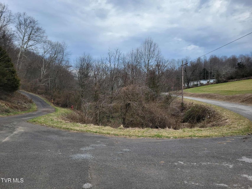 Photo #5: Tbd Jaggy Fox Trail