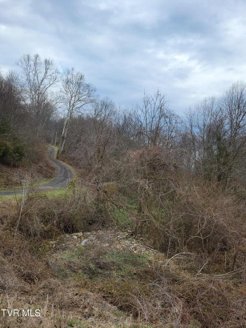 Photo #6: Tbd Jaggy Fox Trail