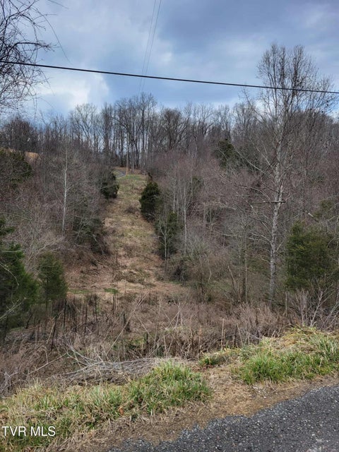 Photo #7: Tbd Jaggy Fox Trail