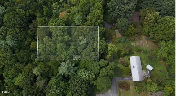 Photo #5: Tr 14 Pine Forest Lane