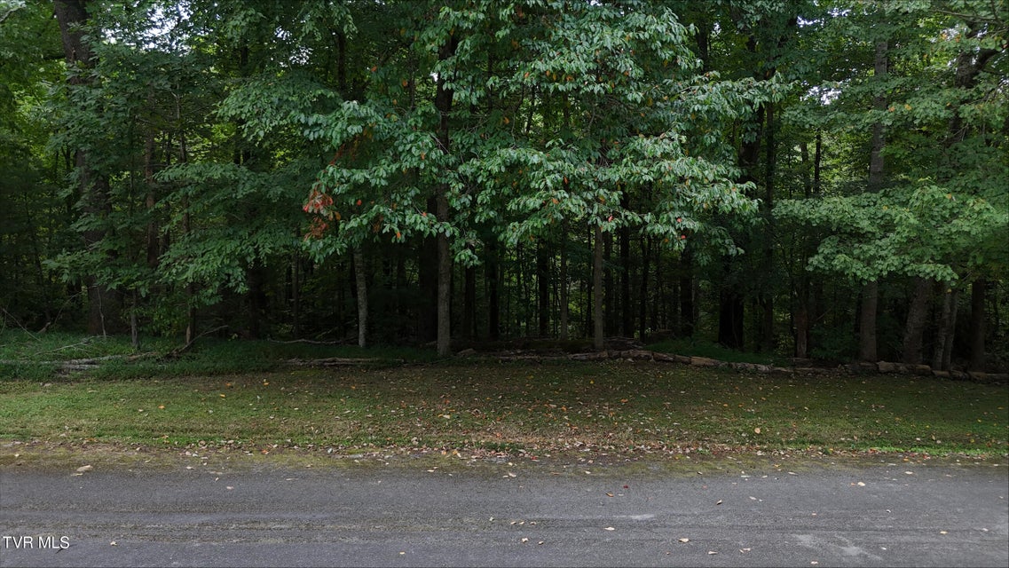 Photo #11: Tr 14 Pine Forest Lane