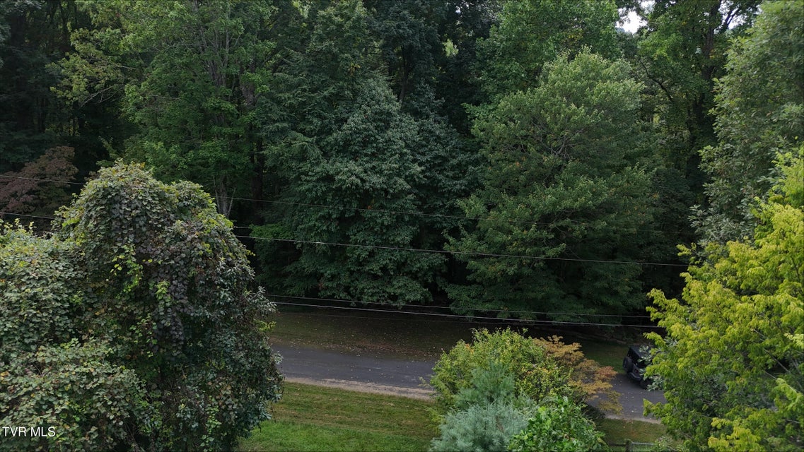 Photo #26: Tr 14 Pine Forest Lane