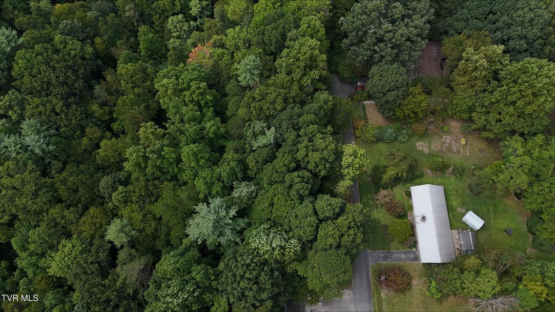 Photo #7: Tr 15.01 Pine Forest Lane