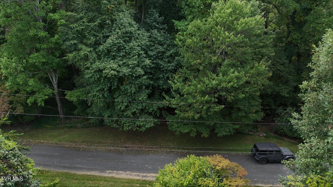 Photo #9: Tr 15.01 Pine Forest Lane